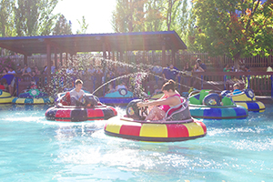 Bumper Boats