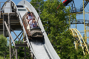 Log Flume